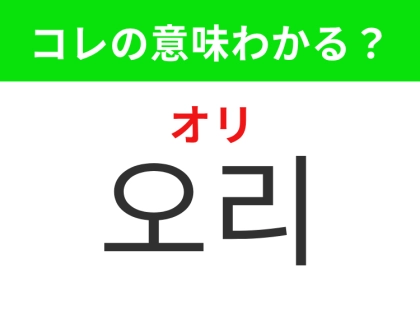 【韓国生活編】黄色いくちばしが特徴の水鳥！「오리（オリ）」の意味は？