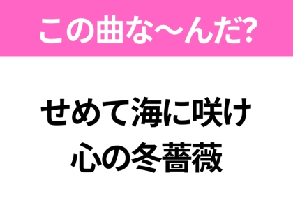 【ヒット曲クイズ】歌詞「せめて海に咲け 心の冬薔薇」で有名な曲は？昭和のヒットソング！