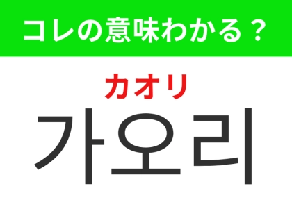 【韓国生活編】海をひらひら泳ぐ平たい魚！「가오리（カオリ）」の意味は？