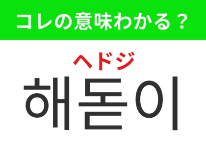 【韓国生活編】希望を胸に眺めるあの景色！「해돋이（ヘドジ）」の意味は？