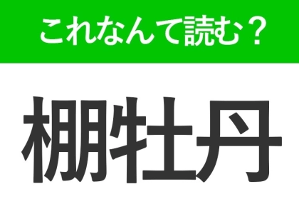 【棚牡丹】はなんて読む?「たなぼたん」ではありません!