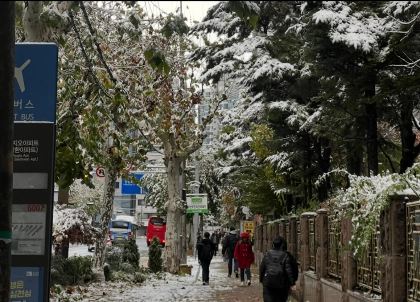 【韓国トレンド】韓国のリアルな冬！現地で気づいた日常あるある3選