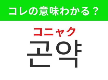 【韓国グルメ編】ダイエット中にもおすすめのヘルシー食材！「곤약（コニャク）」の意味は？