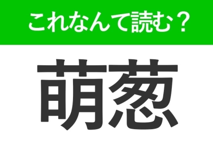 【萌葱】はなんて読む?春に芽を出す草木の色を表す難読漢字!