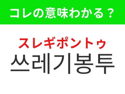 【韓国生活編】ゴミを入れて捨てるための袋!「쓰레기봉투(スレギポントゥ)」の意味は?