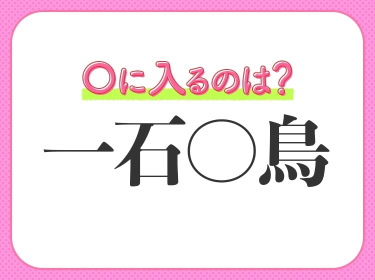 小学生ならすぐわかる！？【一つの石を投げて二羽の鳥をしとめる】四字熟語とは？