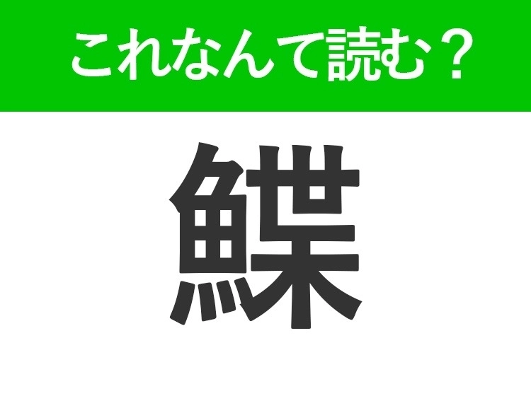 サムネイル画像