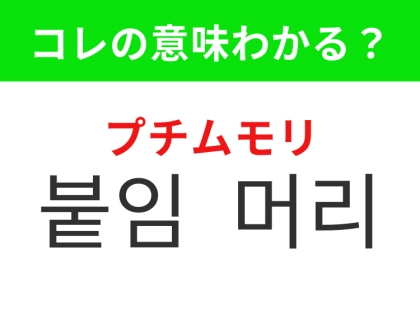 【韓国美容編】髪の印象を簡単にチェンジ!「붙임 머리(プチムモリ)」の意味は?