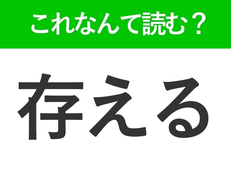 サムネイル画像