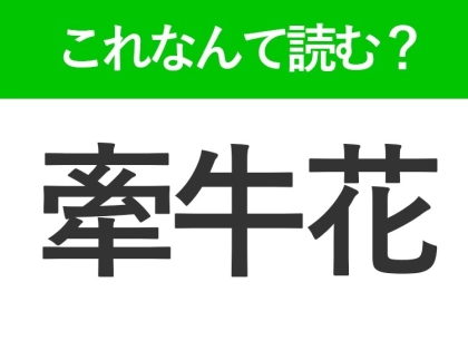 【牽牛花】はなんて読む?小学生の頃に育てた人が多い花!