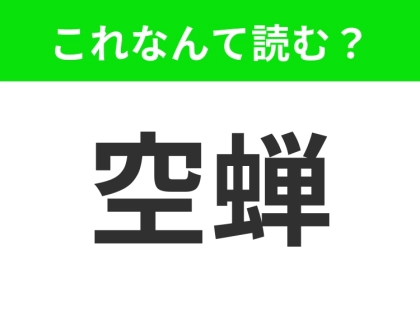 【空蝉】ってなんて読む？「そらせみ」ではありません！