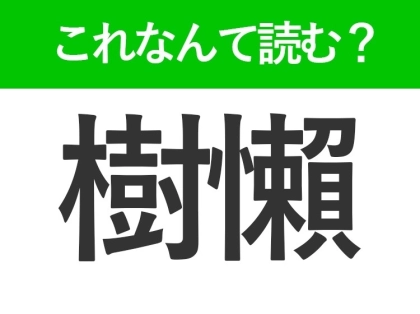 【樹懶】はなんて読む?みんなが知ってる動物を表わす難読漢字!