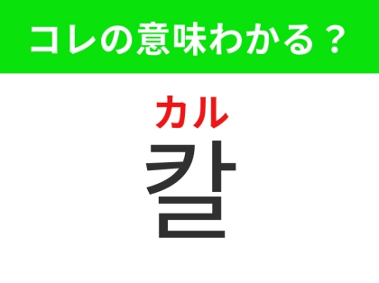 【韓国生活編】料理をする時に欠かせない調理器具！「칼（カル）」の意味は？