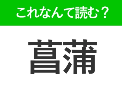 【菖蒲】はなんて読む?5月が見ごろの花の名前