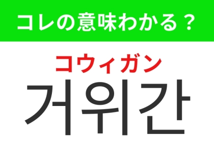 【韓国グルメ編】高級料理として知られるあの食材！「거위간（コウィガン）」の意味は？