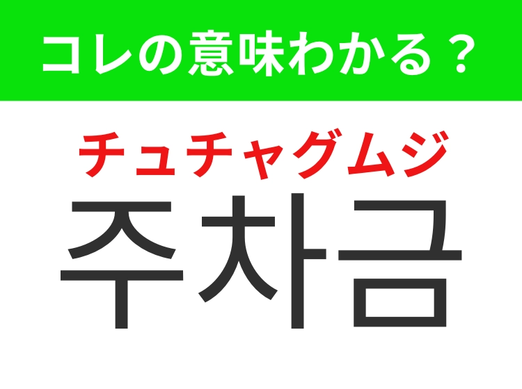 【韓国生活編】覚えておきたいあの言葉！「주차금지（チュチャグムジ）」の意味は？