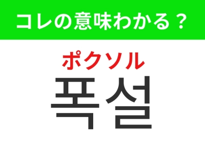 【韓国生活編】生活に影響すると大変な冬の天気！「폭설（ポクソル）」の意味は？