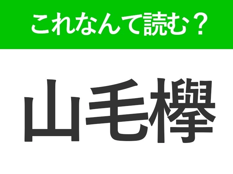 サムネイル画像