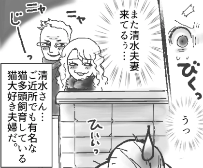 「猫のフンくらい大目に見ろ」「外でのびのび育てるべきだ!」毎朝のように我が家へ猫を見にくる迷惑夫婦!多頭飼育でトラブルの連発⇒ある日、飼い猫が消えてしまっていて・・・
