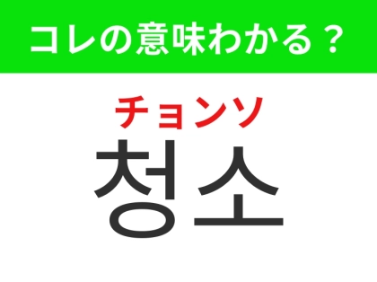 【韓国生活編】お部屋がスッキリするもの！「청소（チョンソ）」の意味は？