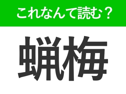 【蝋梅】はなんて読む?黄色い小花が可愛いお花の名前です!