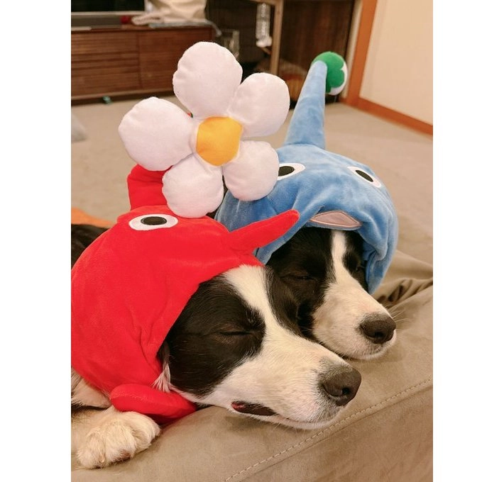 サムネイル画像