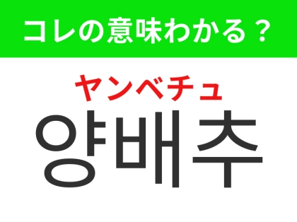 【韓国グルメ編】炒め物やスープで使われる緑野菜！「양배추（ヤンベチュ）」の意味は？