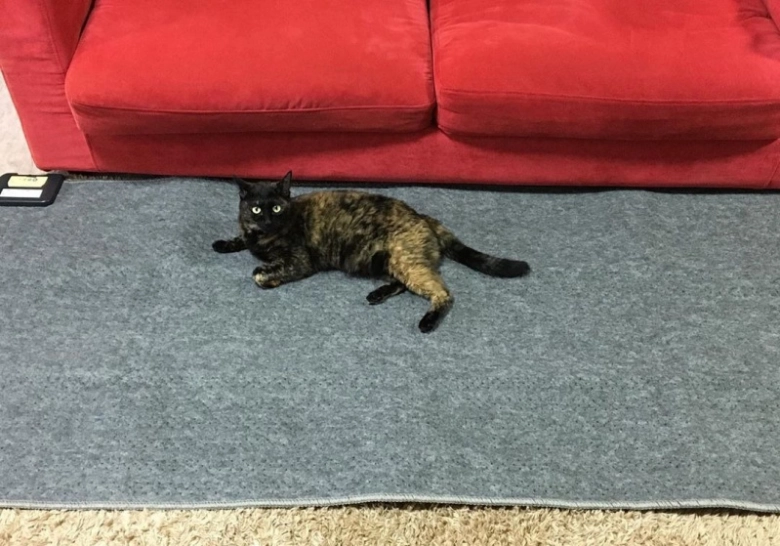 ホットカーペットの1畳用が使える！使い方やおすすめに洗えるものも