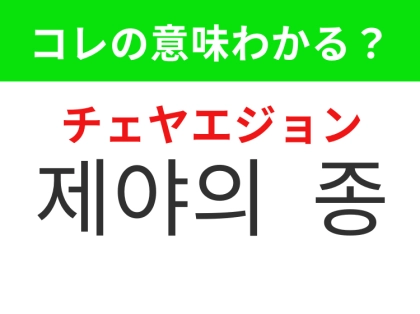 【韓国生活編】大みそかの夜のあの恒例行事！「제야의 종（チェヤエジョン）」の意味は？