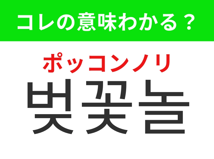 【韓国生活編】覚えておきたいあの言葉!「벚꽃놀이(ポッコンノリ)」の意味は?