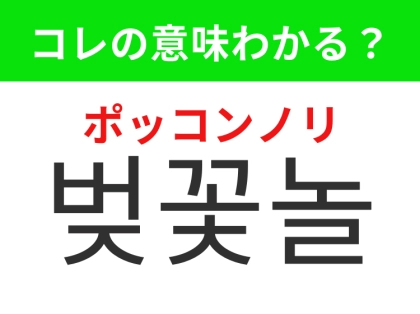 【韓国生活編】覚えておきたいあの言葉！「벚꽃놀이（ポッコンノリ）」の意味は？