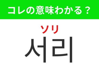 【韓国生活編】冬によく見るあの自然現象！「서리（ソリ）」の意味は？
