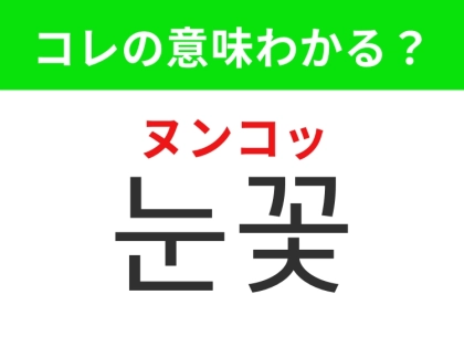 【韓国生活編】冬の幻想的できれいなアレ!「눈꽃(ヌンコッ)」の意味は?