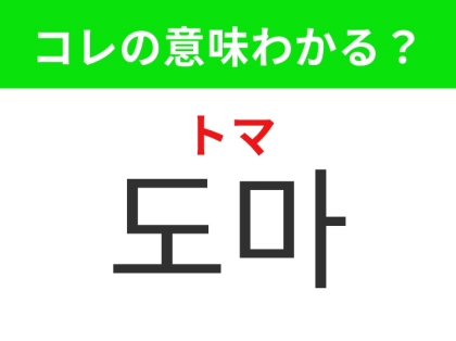 【韓国生活編】キッチンで欠かせない調理器具！「도마（トマ）」の意味は？
