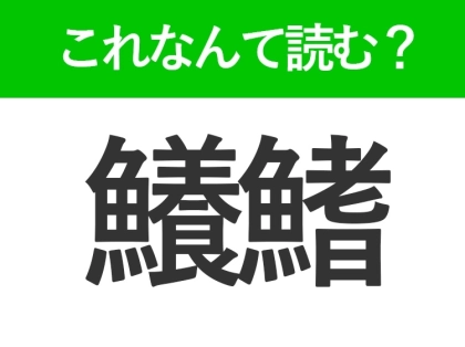 【鱶鰭】はなんて読む?魚の名前とは少し違う!