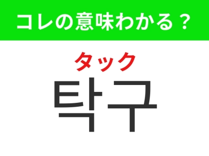 【韓国生活編】室内で楽しむあのスポーツ！「탁구（タック）」の意味は？