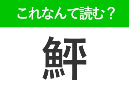 【鮃】はなんて読む？冬が旬の魚を表す難読漢字