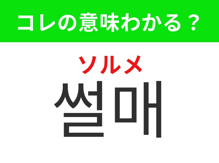 【韓国旅行編】覚えておきたいあの言葉!「썰매(ソルメ)」の意味は?