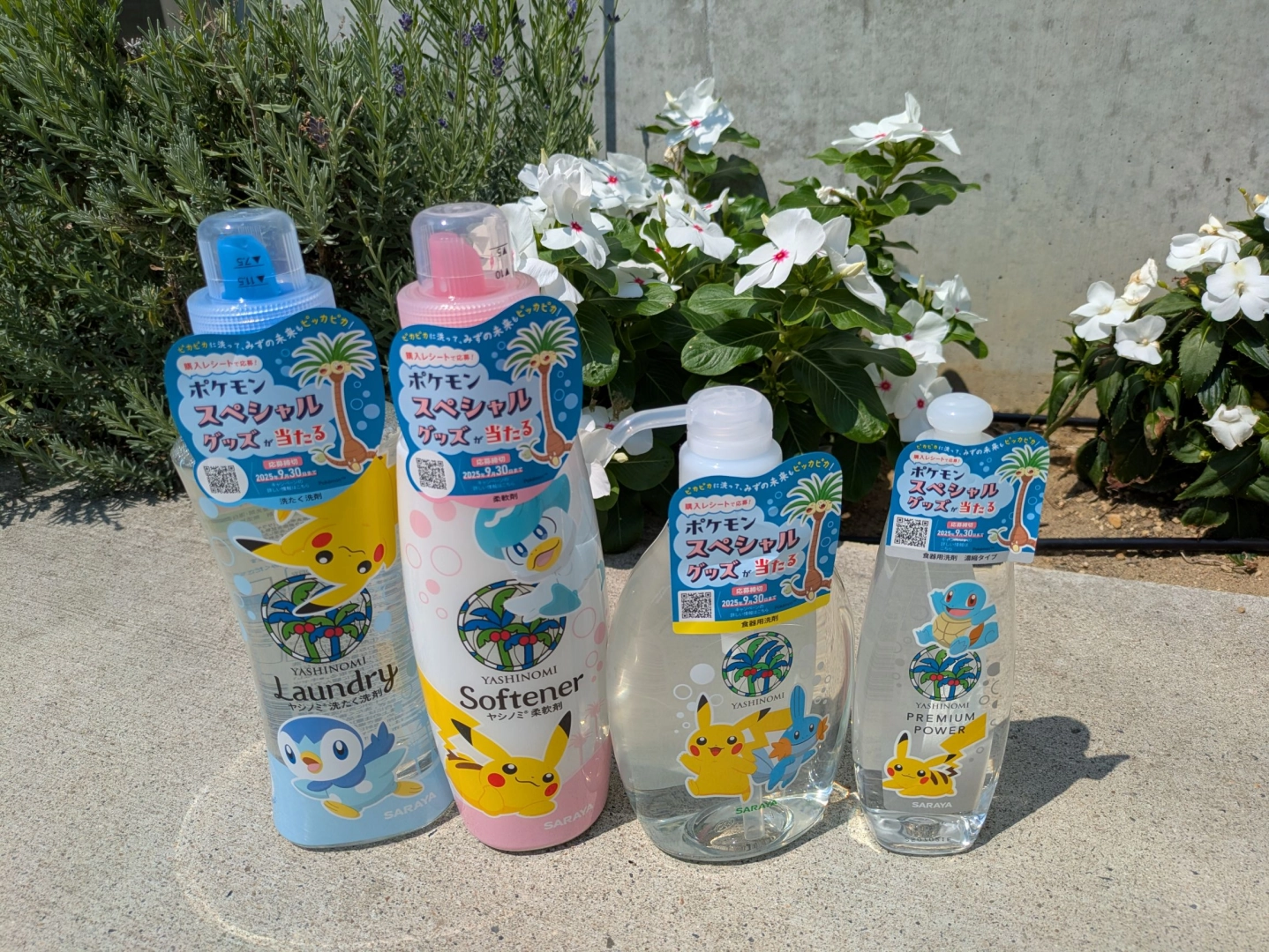 サムネイル画像