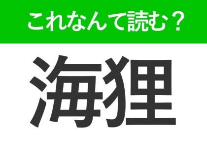 【海狸】はなんて読む?水辺に住む動物の名前!