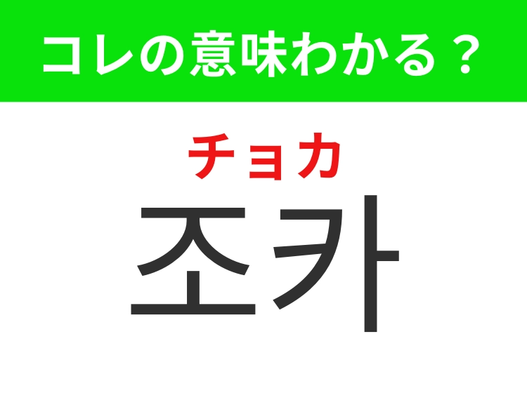 【韓国生活編】覚えておきたいあの言葉！「조카（チョカ）」の意味は？