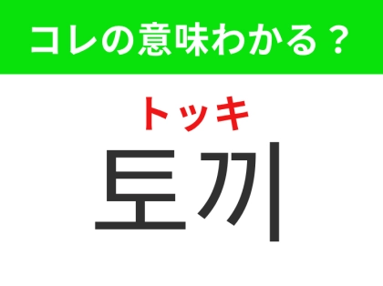 【韓国生活編】ぴょんぴょん跳ねる小さな動物！「토끼（トッキ）」の意味は？
