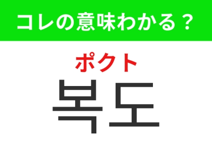 【韓国生活編】人が通るための道！「복도（ポクト）」の意味は？