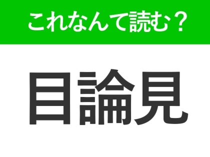 【目論見】はなんて読む？「めろんけん」ではありません！