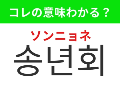 【韓国生活編】年末のお楽しみイベント！「송년회（ソンニョネ）」の意味は？