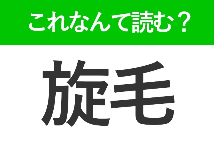 【旋毛】はなんて読む?どんな人にもある部分です!