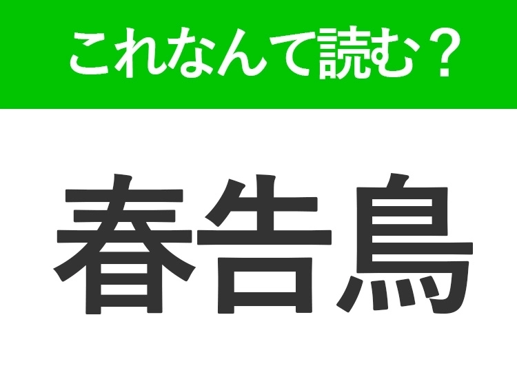 サムネイル画像