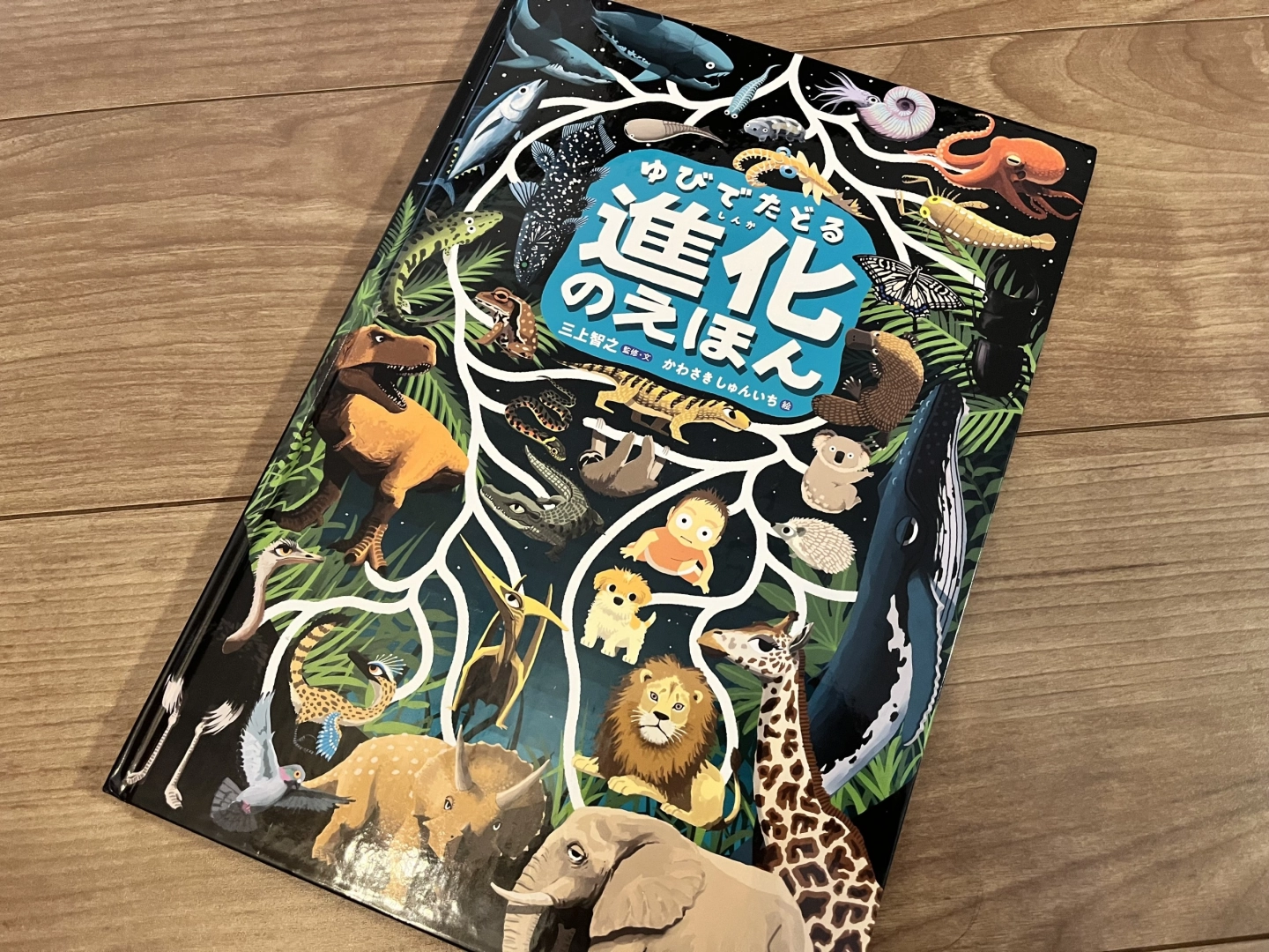 サムネイル画像