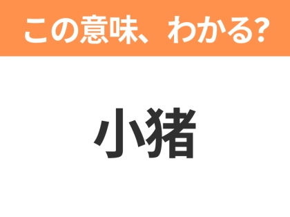 【中国語クイズ】「小猪」は何のキャラクター?ピンクの耳がかわいい小さなブタのぬいぐるみ!