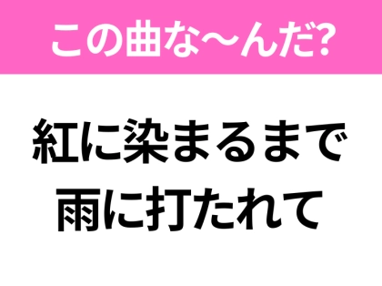 【ヒット曲クイズ】歌詞「紅に染まるまで 雨に打たれて」で有名な曲は？大人気アイドルのデビュー曲！